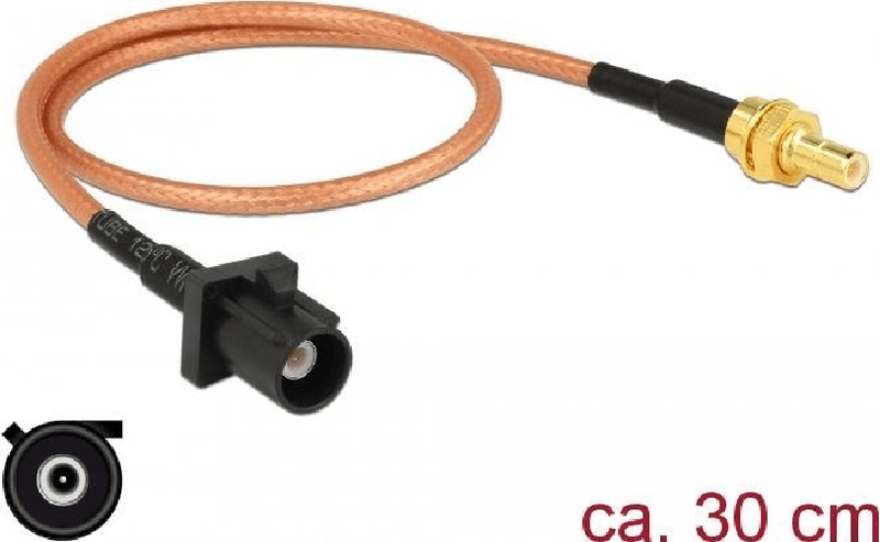 Delock-Cavo-antenna-FAKRA-A-maschio--SMB-maschio-RG-316-30-cm