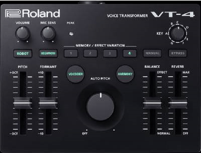 Roland VT-4 - USB Typ-B - XLR - DC/Batterie - 0,5 A - 174 mm - 133 mm (420691A99)