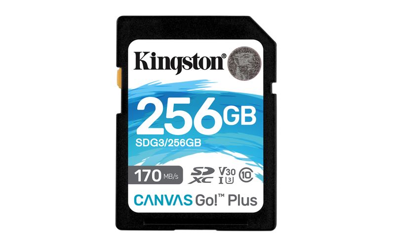 Kingston-Technology-Canvas-Go--Plus-256-GB-SD-UHS-I-Classe-10