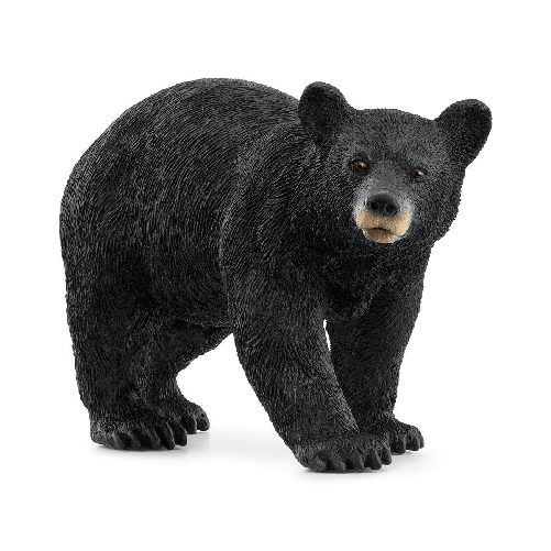 Schleich WILD LIFE 14869 action figure giocattolo (SCHLEICH Wild Life American Black Bear Toy Figure 3 to