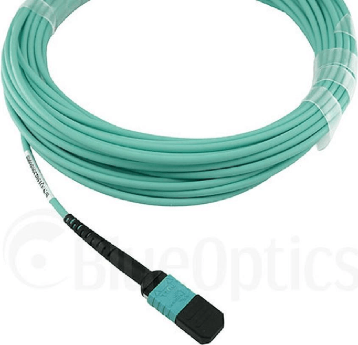 BlueOptics Cavo trunk MTP in fibra ottica OM3 12 nuclei 10 metri tipo B
