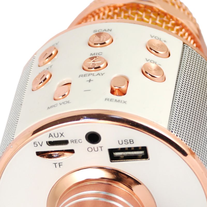 Xtreme-Hollywood-Rose-Gold-Argento-Microfono-per-karaoke