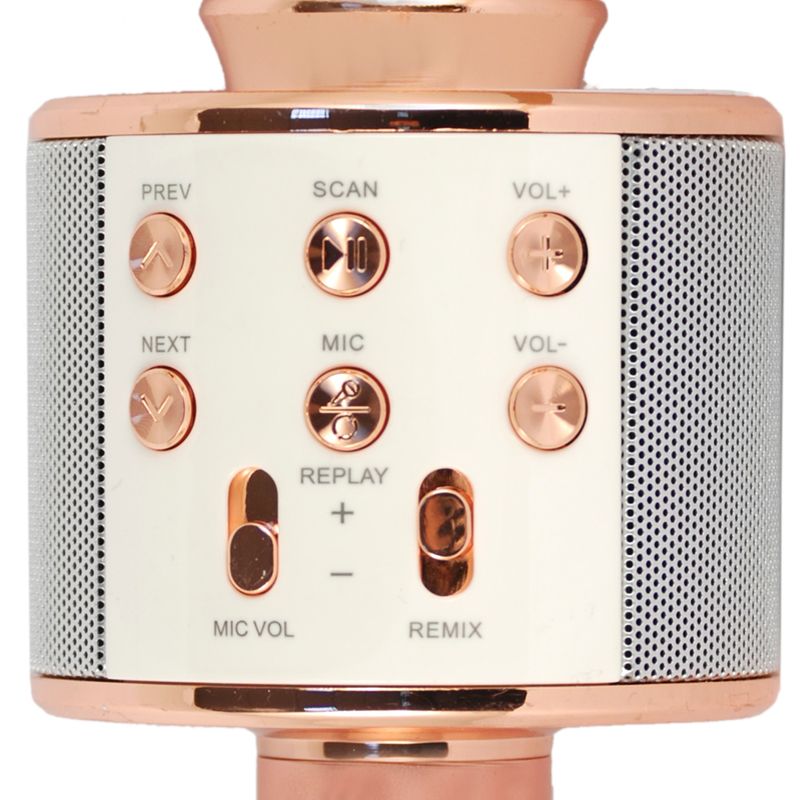 Xtreme-Hollywood-Rose-Gold-Argento-Microfono-per-karaoke