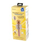 Xtreme-Hollywood-Rose-Gold-Argento-Microfono-per-karaoke