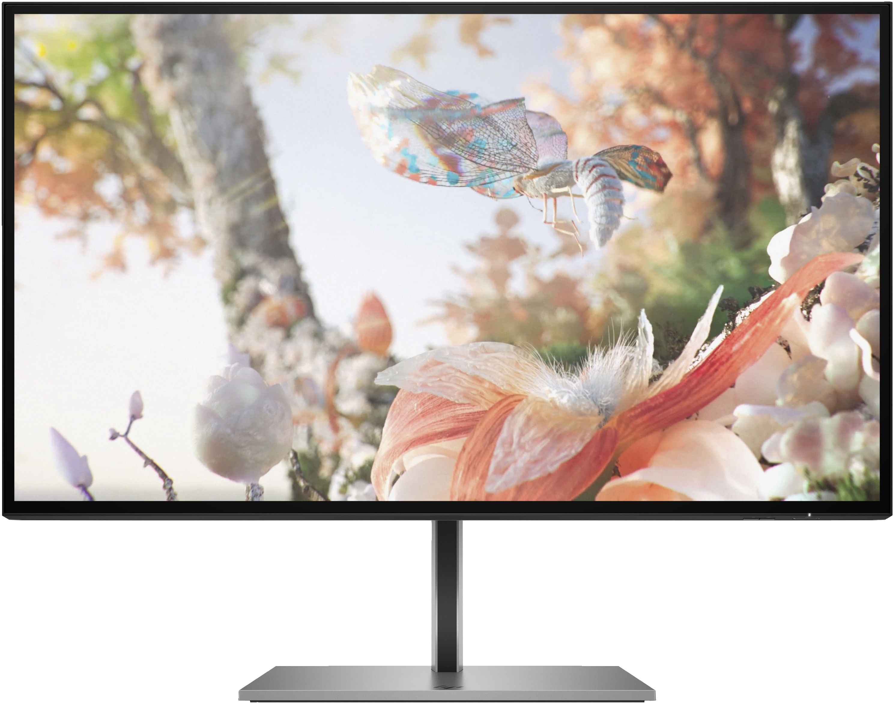 HP Z25xs G3 Monitor PC 63,5 cm (25") 2560 x 1440 Pixel Quad HD Nero