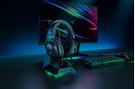 Razer-Blackshark-V2-Auricolare-Cablato-A-Padiglione-Giocare-Nero-Verde