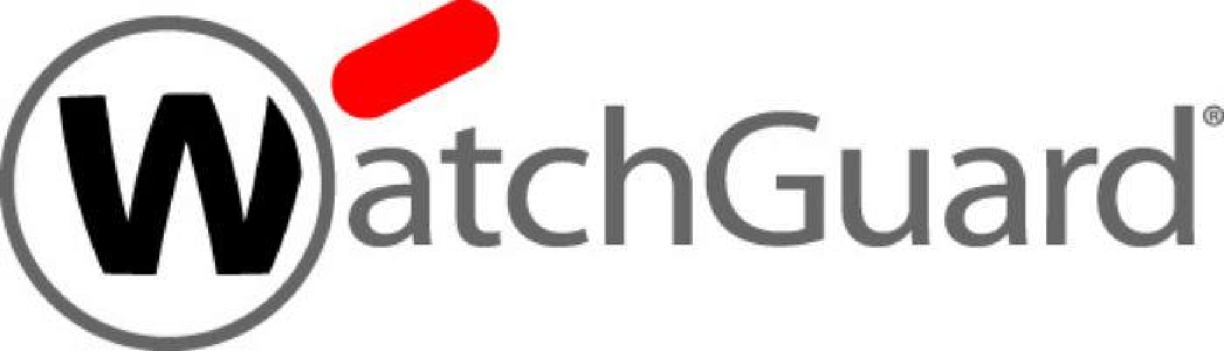 WatchGuard WG019738 licenza per software/aggiornamento 1 licenza/e 1 anno/i