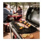 Weber-Traveler---Barbecue-a-Gas-Portatile