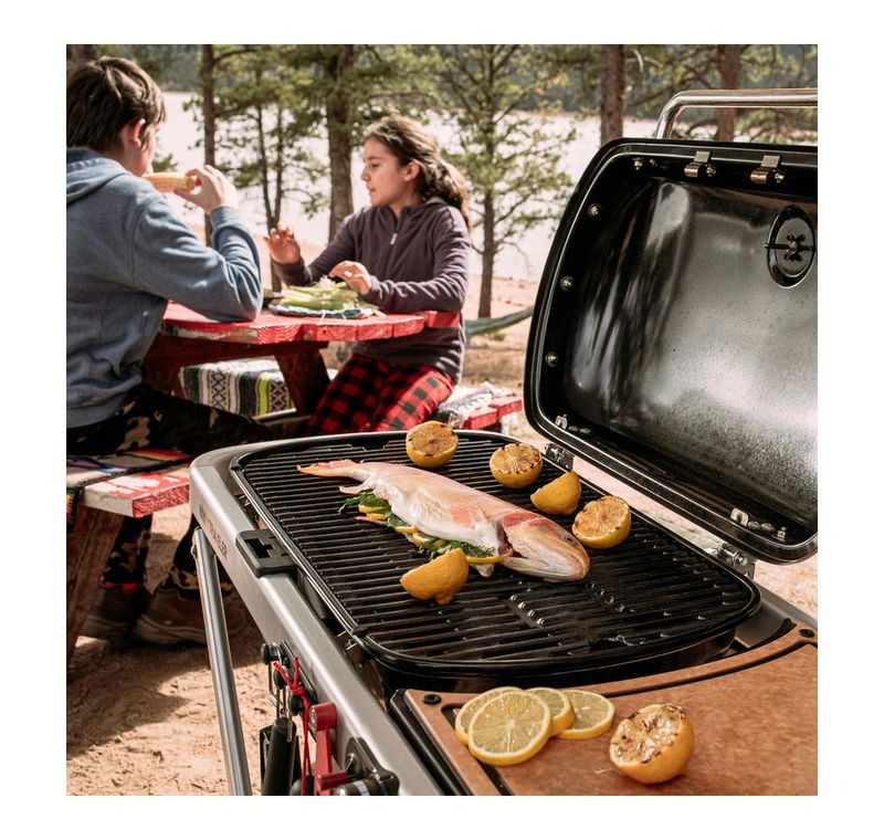 Weber-Traveler---Barbecue-a-Gas-Portatile