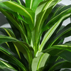 Outsunny-Pianta-Tropicale-Decorativa-Dracena-Finta-in-Plastica-con-Vaso