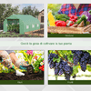 Outsunny-Serra-da-Giardino-3-5-x-3-x-2m-con-Tetto-Spiovente-in-PE-Porta-e-6-Finestre-Verde