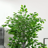 HOMCOM-Pianta-Artificiale-di-Ficus-Alta-135cm-con-Vaso-per-Interno-ed-Esterno-Verde