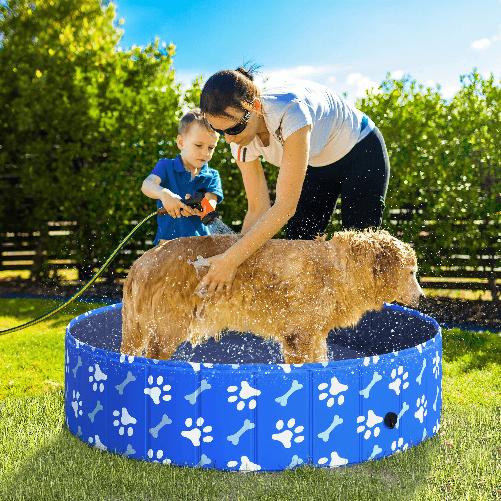 PawHut-Piscina-Rigida-per-Cani-Taglia-Media-65kg-in-Plastica-Dura-e-Antiscivolo-per-Giardino-o-Interni-Blu--120x30cm