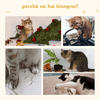 PawHut-Trespolo-per-Gatti-Multilivello-con-Tiragraffi-in-Sisal-Albero-per-Gatti-con-Piattaforme-e-Cuccia-in-Peluche-Beige-50x50x100cm