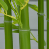 HOMCOM-Pianta-Finta-di-Bambu-Alta-150cm-con-Vaso-Incluso-per-Interno-ed-Esterno