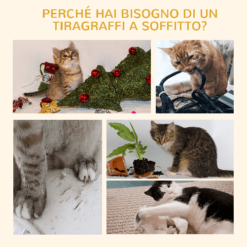 PawHut-Albero-Tiragraffi-per-Gatti-a-4-Livelli-Fissaggio-a-Soffitto-Regolabile-43x27x228-260cm