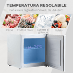 HOMCOM-Mini-Congelatore-35L-con-Ripiano-Removibile-e-Porta-Reversibile-47x44-2x48-8cm-Bianco