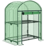 Outsunny Mini Serra da Giardino con 2 Ripiani in Metallo e Copertura in PE, 69x49x92cm, Verde
