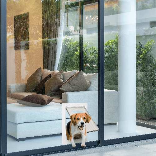 PawHut-Gattaiola-con-Sistema-di-Blocco-per-Vetro-Rete-e-Porte-38-6x52x1-8cm-Bianco