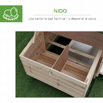 PawHut-Pollaio-da-Giardino-Prefabbricato-in-Legno-196x76x97cm-Color-Legno