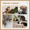PawHut-Albero-per-Gatti-con-Casetta-Tiragraffi-per-Gatti-Posatoio-e-Paletto-48-5x48-5x141-5-cm-Beige