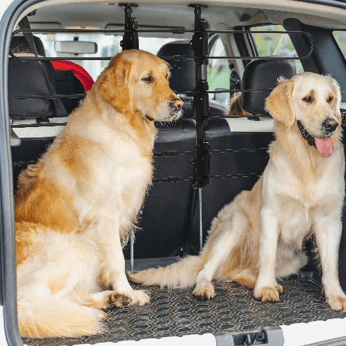 PawHut-Divisorio-Auto-per-Cani-in-Acciaio-e-PP-Regolabile-in-Larghezza-e-Altezza-89-150x76-124-cm-Nero