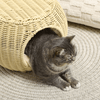 Pawhut-Casetta-per-Gatti-a-2-Livelli-in-Rattan-PE-con-Cuscino-Lavabile--40x30-cm-Beige