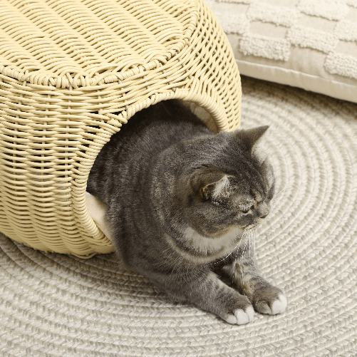 Pawhut-Casetta-per-Gatti-a-2-Livelli-in-Rattan-PE-con-Cuscino-Lavabile--40x30-cm-Beige