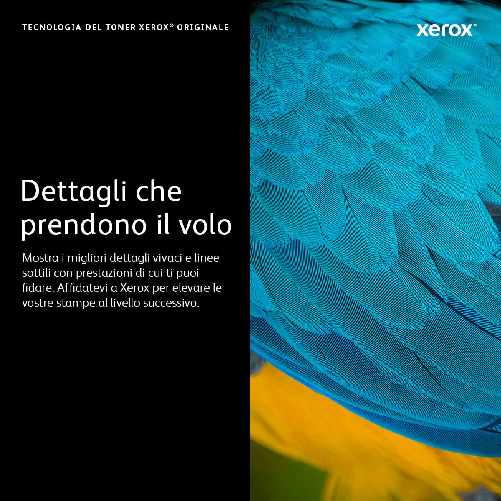 Xerox-Cartuccia-toner-Giallo-a-High-capacity-da-17200-Pagine-per-Phaser--7800--106R01568-