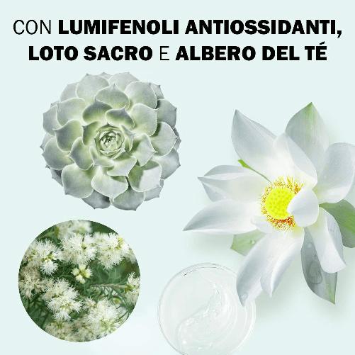 JOWAE-Gel-Purificante-Anti-Imperfezioni-Viso-con-Lumifenoli-Antiossidanti-e-Albero-del-Te-per-Pelle-Grassa-con-Imperfezioni-Evidenti-Formato-da-40-ML