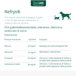 nefrys - descrizione