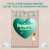 img-33a600be-17d2-49ca-8363-362a4f588309.png