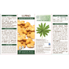 img-6c58d70a-add0-4420-a082-cd1bb9fb1e04.png