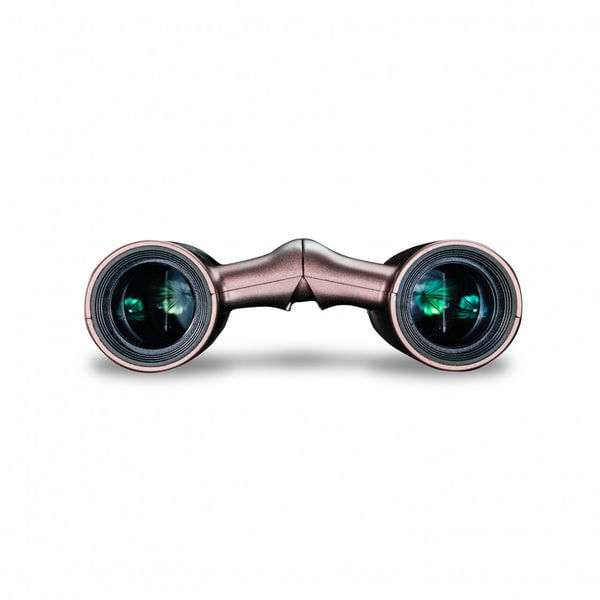 Vanguard-Vesta-Compact-8x21-binocolo-A-tetto-Rose-Gold