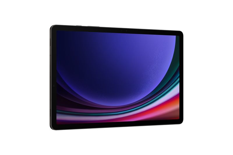 Samsung-Galaxy-Tab-S9-X716-5G-8Gb-128Gb-11---Graphite-Italia