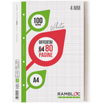 Ricambio Rambloc FSC 100 gr. 21x29,7 320 PG1Rigo