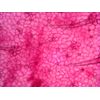 Levenhuk-N38-NG-Vetro-Vetrino-per-microscopio