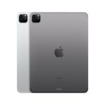 iPad-Pro-11--Wi-Fi---Cellular-1-TB---Argento