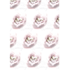 img-72b5c6d8-0e3e-4287-94aa-d51e91e996a6.png