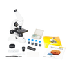 img-f487303a-89a9-4c73-a16e-bf078cacb0f0.png