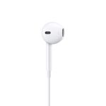 Apple-EarPods--USB-C--Auricolare-Cablato-In-ear-Musica-e-Chiamate-USB-tipo-C-Bianco