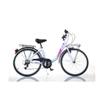 Bicicletta Ruota 24 Pollici Ragazza Donna Bici Roadster Portapacchi Bicicletta