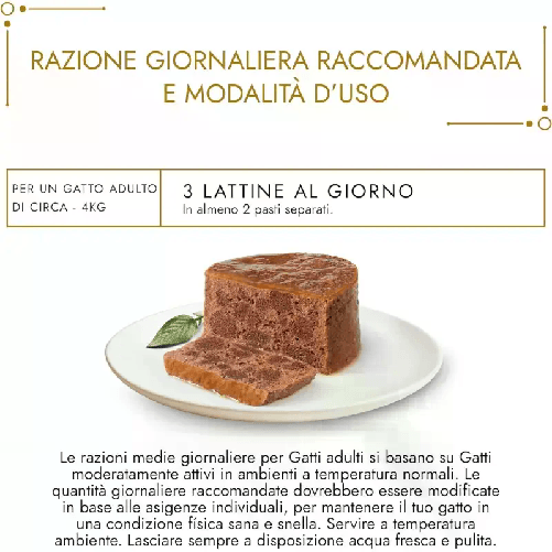 img-2e15cf21-cc8d-4e02-abc0-87a6571a52d0.png