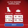 img-96caaa6c-31ed-4ad9-a095-bdbb899eba74.png