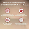 img-21498a16-2678-40b4-9ea9-fd39ea1084ea.png