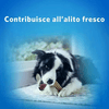 img-ca6eb0dc-57f0-4795-b4d6-105aa7b1beea.png