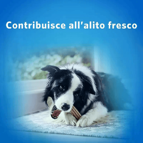 img-ca6eb0dc-57f0-4795-b4d6-105aa7b1beea.png