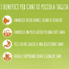 img-e962400a-fed1-48f2-81ac-853c689f6fe6.png
