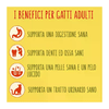 img-7205b6a3-7427-4afd-b738-5e0d6a3e1edf.png