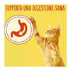 img-e17056f8-dbe6-4d2f-b1da-5f40c4e9e112.png